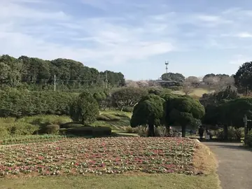 노코노시마 아일랜드 파크